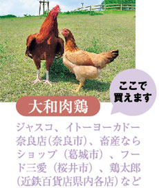 大和肉鶏