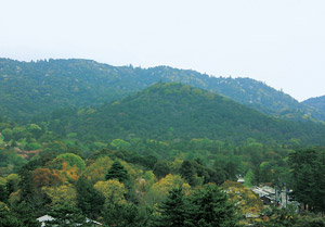 御蓋山