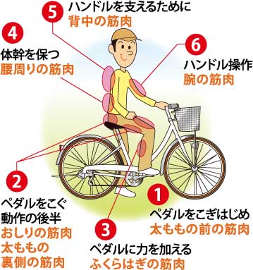 ならクルで健康づくり!!