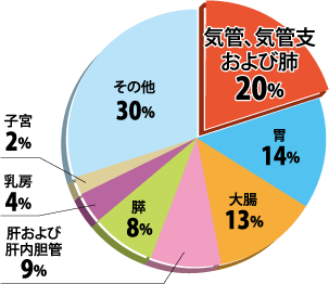 がんの部位別死亡数の全部位に占める割合