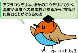 コマドリ先生
