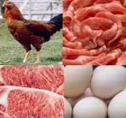 大和畜産