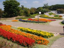 馬見花苑と花の広場