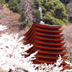 談山神社(たんざんじんじゃ）