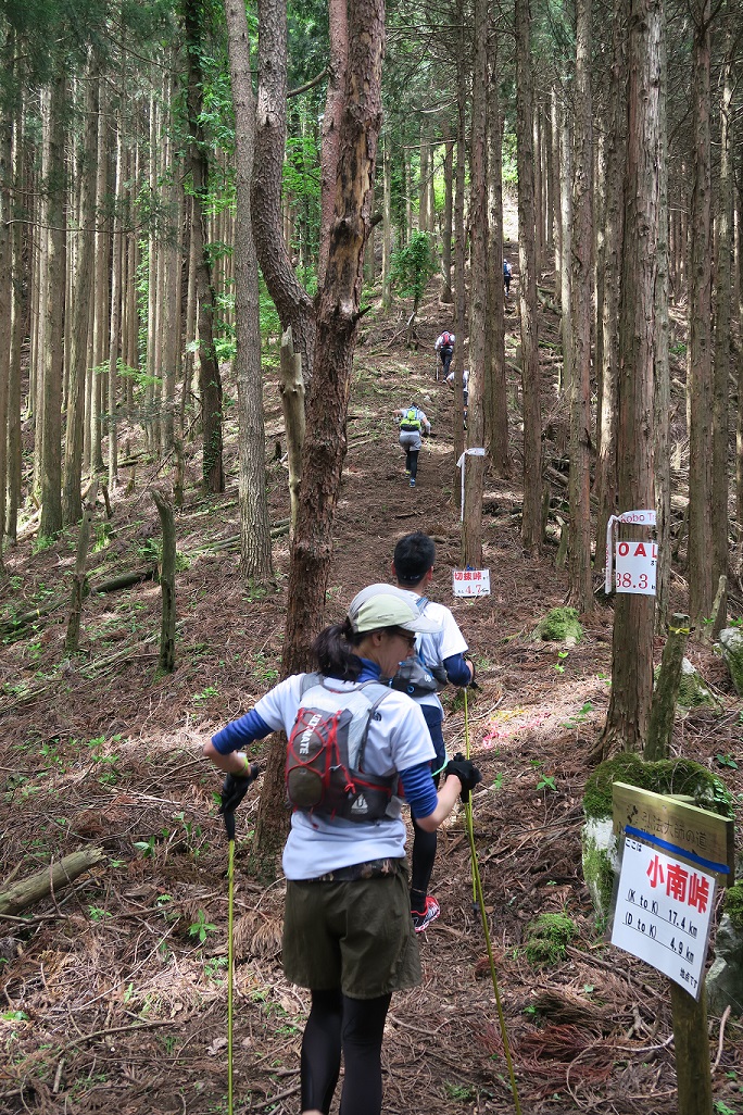 「Kobo(こうぼう)Trail(とれいる)2016」吉野山(よしのやま)・洞川(どろがわ)と高野山(こうやさん)を結(むす)ぶ弘法大師(こうぼうだいし)の道(みち)を走(はし)るトレイルランニングレース