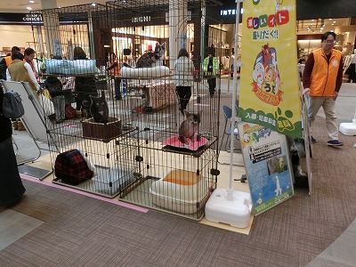 室内飼育