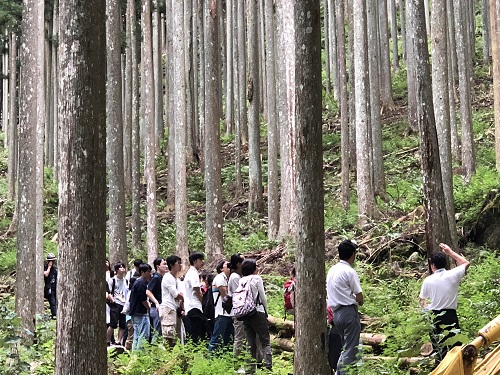 視察の様子