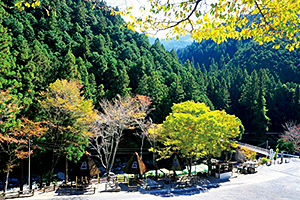 下市町森林公園やすらぎ村