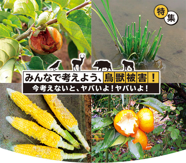 特集 みんなで考えよう、鳥獣被害! 今考えないと、ヤバいよ!ヤバいよ!