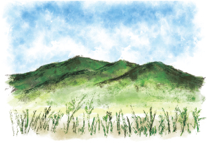 ささ浪の御山