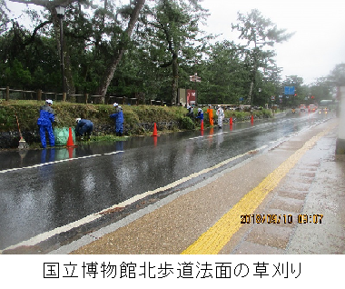 博物館草刈り