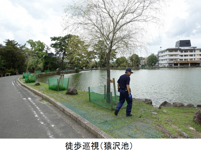 猿沢池巡視