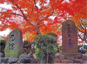 面塚