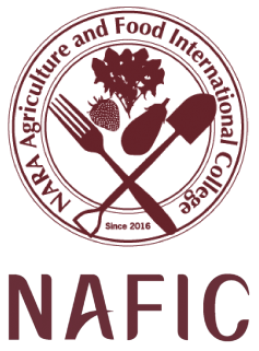 NAFICロゴ