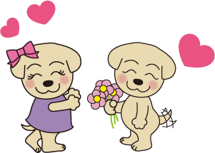 すき