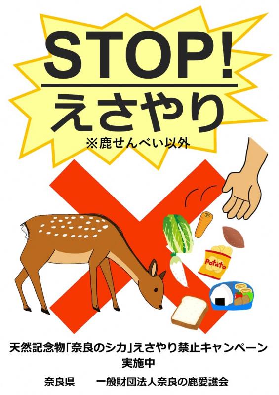 STOPえさやりチラシ