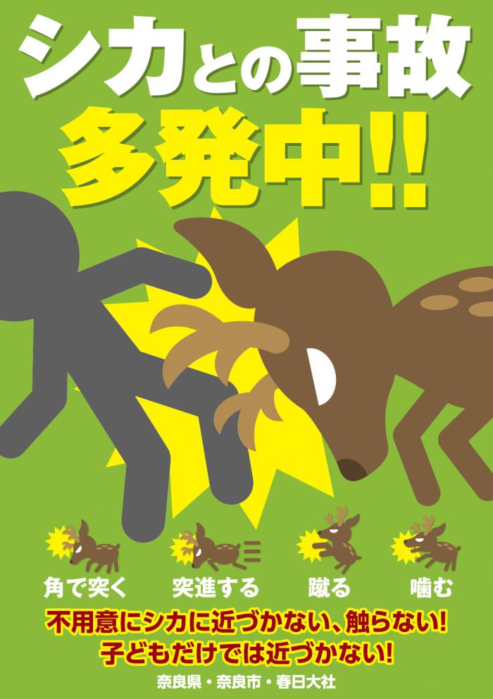 シカとの事故多発注意チラシ