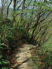 登山道