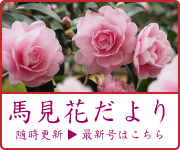 馬見花だより 馬見花だよりリンク