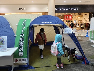 避難用テント