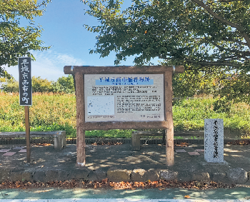 粽とでんがら