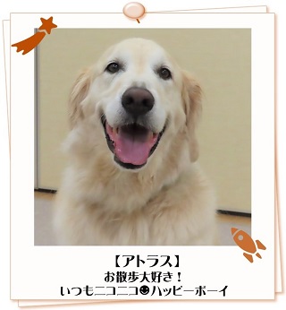 アトラスくん