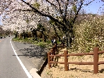 信貴生駒スカイライン写真
