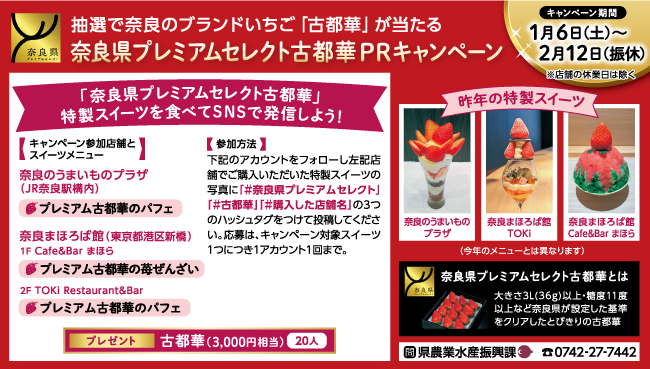 キャンペーン情報