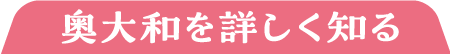 奥大和を詳しく知る
