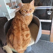 バニラの背中