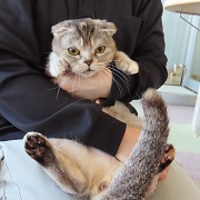 オレオ