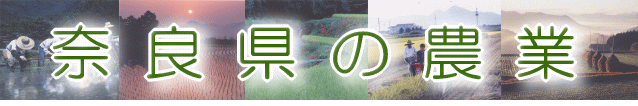 奈良県の農業 バナー画像