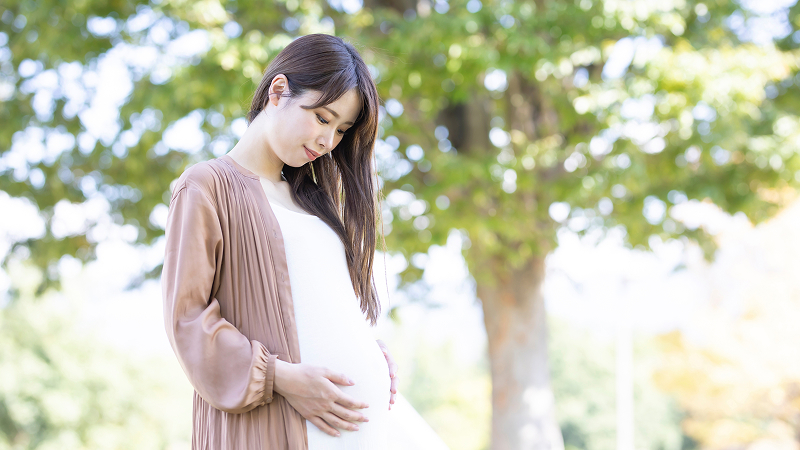 妊婦の写真