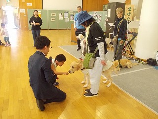 犬とのふれあい方体験