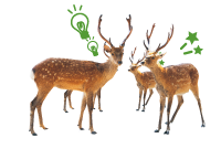 鹿イラスト