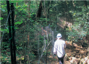 春日山原始林を未来へつなぐ会