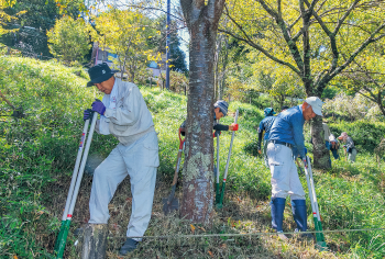 土壌の通気孔確保や微生物活性化のため、スコップで開けた縦穴に炭や枯葉を埋める