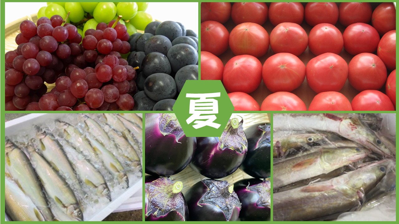 トップイメージ夏