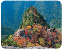 大台ヶ原（大蛇嵓(だいじゃぐら)）