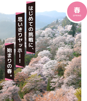 春のアクティビティ