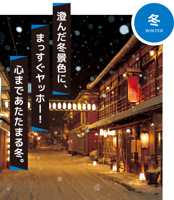 冬のアクティビティはこちら