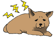 イメージ:病気の犬