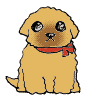 イメージ:子犬