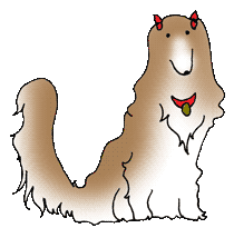 イメージ:毛の長い犬