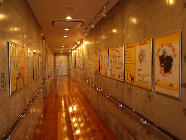 展示コーナー