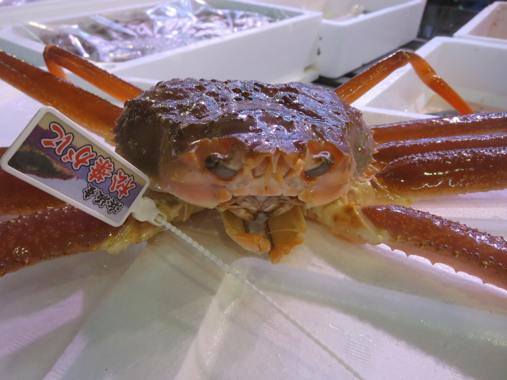 kani