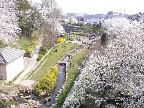鰻堀池（大和郡山市）