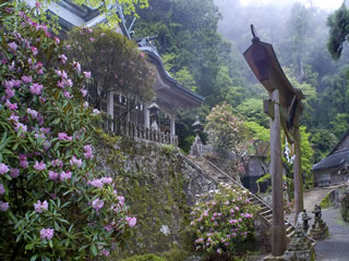 34.玉置神社(たまきじんじゃ)