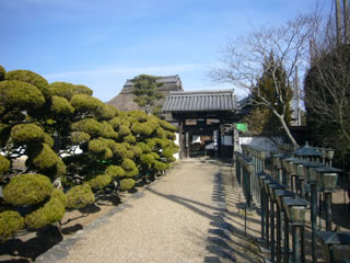 9.金剛寺(こんごうじ)