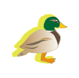 kamo